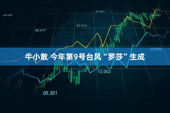 牛小散 今年第9号台风“罗莎”生成